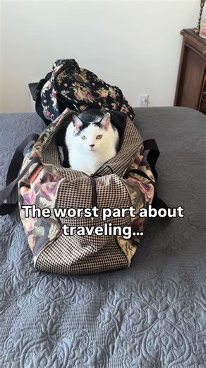 Gifted: The Perfect Valentine's Day Gift for Pet Lovers