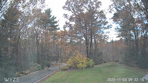 Just your typical morning in Brookline, NH. video courtesy: Kim and Don Cournoyer | Mike Bettes