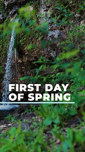 2K views · 124 reactions | Spring has sprung in Missouri.  There’s no better way to celebrate than at one of our beautiful springs in the Ozarks.  Send to the person you’ll be outside with this spring.  — Mo #ThatsMyMO | Visit Missouri | Facebook