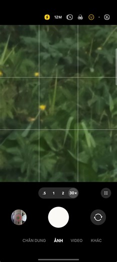 Zoom test on Galaxy S21 5G #mobiletech #xhtiktok #phones #samsunggalaxy #s21