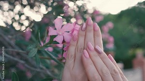 4K video features female hands with pink manicured nails and flowers.