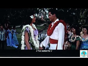 Rock-a-hula baby. Blue Hawaii. Hawaiian wedding song (Elvis Presley) 푸른 하와이