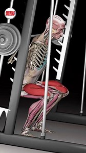 One Squat. Three Ways to Shift the Spotlight. 🔥 The Smith Machine Squat will always work your quads, glutes, and adductors, but tweak your foot position, and you can place extra emphasis right where you want it. 💥 Quads: Standard stance for solid front-thigh focus. 🍑 Glutes: Step your feet slightly forward to load the glutes more. ⚡ Adductors: Go wide-stance to give your inner thighs extra attention. Want to discover how to maximize your workouts? Check out the Muscle and Motion STRENGTH TRAI