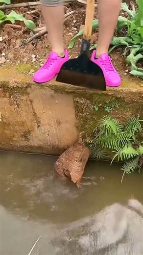 🔔Multifunctional garden shovels - Multifunctional All-Steel Garden Cleaning Shovel ( # 193 ) ‪