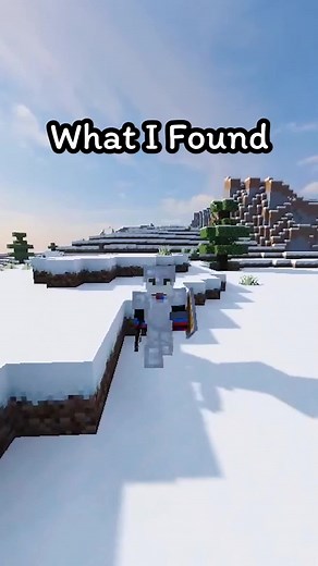 Rare Snowy Village Discovery in Minecraft