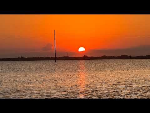 The Colonel's Corner Safe for Democracy Part 32