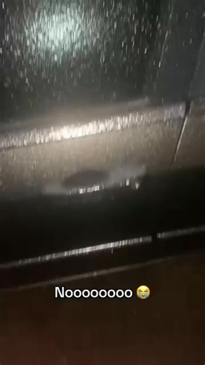 Say goodbye to frozen windscreens and icy mornings! ❄️ Wake up to a clear view every day with FrostFree™, the smart car defroster that prevents ice before it forms. No scraping, no waiting — just plug it in and enjoy instant clarity. ✅ Stops frost before it starts ✅ Keeps your windscreen crystal clear ✅ Works overnight — just plug and forget | Emma Ross | Facebook