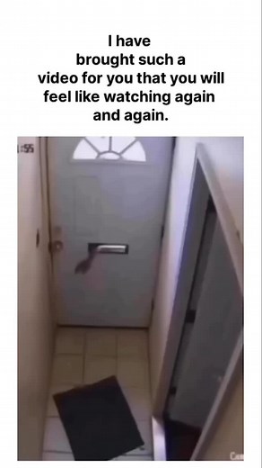 Unknown Jay_876 on Instagram: "shootoutcaughtincctv Follow @cctvshooters for more The Tesla Model P is an all-electric, battery-powered light-duty truck introduced by Tesla. Here's a comprehensive overview of its key features and specifications: Tesla Model P Overview Design and Structure • Exterior: The Model P showcases a futuristic, streamlined design optimized for efficiency and durability. It features a lightweight steel-aluminum blend body with tempered glass. • Dimensions: Approximately 2