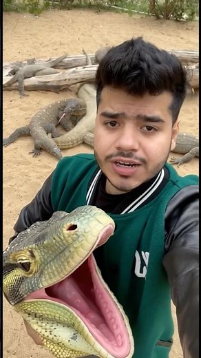 Lizard costume 🦎