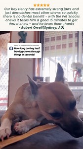 A healthy alternative to traditional raw hide. These long lasting dental chews keep your pup entertained and contains no chemicals, no glue, no coloring, and no preservatives. Use code PET25 to get 25% of your first order. Pet Snacks Fresh Breath Dental Chews are chemical free, highly nutritious, works wonders to help prevent dental disease, and made in small batches so we can maintain the highest standards. ⭐⭐⭐⭐⭐ "I love the fact Pet Snacks have developed a healthier & safer alternative to rawh