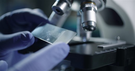 Scientist, Laboratory, Biology. Free Stock Video