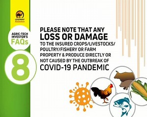 11K views · 516 reactions | Agritech companies are the reason the food industry have gotten a boost in recent times. As we partner with some of these Agritech companies, our attention has been drawn to frequently asked questions by agrictech investors that need answers. This video addresses all those questions and instills an informed outlook. Click to watch. #Agrictech #LeadwayInsurance | Leadway Assurance Company Limited | Facebook