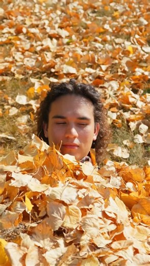 Pt. 4 Let’s learn English action verbs! Join over 615,000 people learning English on my Youtube @VolkaEnglish #learnenglish #englishlesson #improveyourenglish #englishspeaking #englishvocabulary #englishpractice #englishtok #EduTok #comprehensibleinput #english #learning #conversation #3000words #practice | Volka English