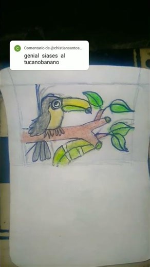 dibujando a tuccano banano #music #dibujo