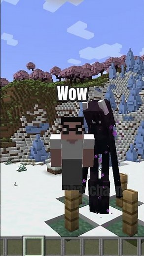 Awesome Minecraft Mods (Part 128) - Extremely Beautiful Enderwoman #minecraft #shorts