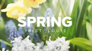 St. Louis spring weather outlook