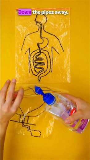 🚽 What Happens Inside Our Body? #kids #funlearning