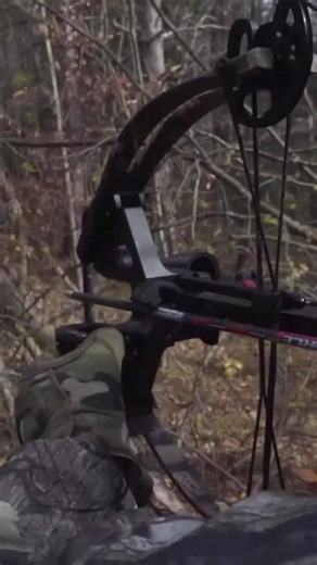 3.9K views · 54 reactions | ⚡️ Mini Survival Crossbow- Ultimate...