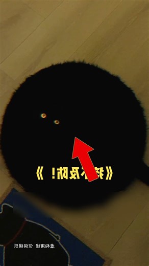This cat is black 🖤 #animalstory #pet #cute #cat #love cat #babycartoon #factsvedio