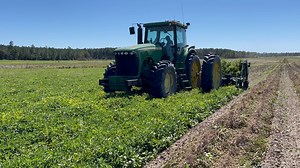 3.9K views · 22 reactions | The 2022 peanut harvest is underway in South Georgia and this year's crop looks great! Look for the segment to air soon! | Farm Monitor | Facebook