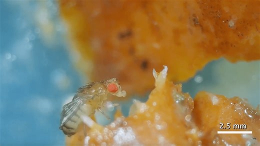 Worm towers are all around us