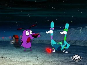 40K views · 2.5K reactions |  Got it. | Boomerang | Facebook