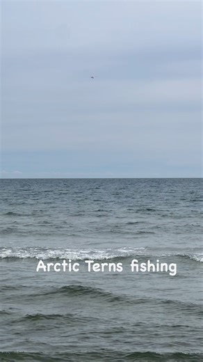 2.8K views · 29 reactions | #denmark #nature #scandinavia #fishing #beach | Norway: Blessed with Nature | Facebook