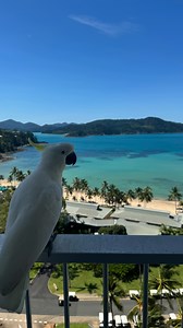 73 reactions · 39 comments | Morning running  6km sous 30 degrés...