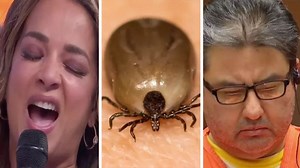 Lo que te perdiste del 52: Las historias más destacadas de la semana