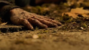 417K views · 7.2K reactions | Top movie on netflix 2025 | Paptrade Enterprises | Facebook