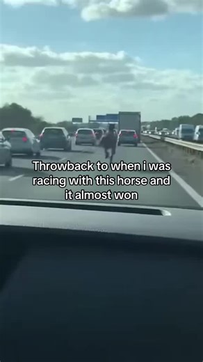 #fyp #funny | horses videos