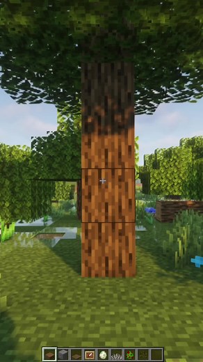 BBlaze Minecraft on TikTok