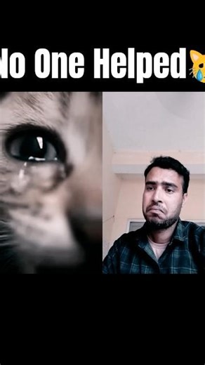 This Cat Was Crying for Help 💔 | Emotional Reaction Video😭 #shorts #cat