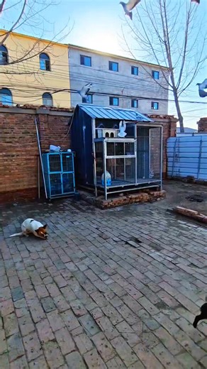 Speed Matters: Evaluating This Racing Loft!