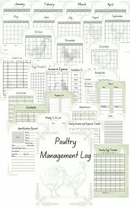 Poultry Management Log, Poultry Record, Poultry Keeping Printable. - Etsy