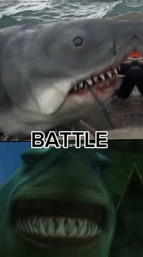 BRUCE (JAWS) VS BRUCE (FINDING NEMO) edit #shark #findingnemo #jaws