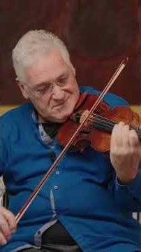 Violin Concerti Slow Movements 🎻 #violin #shorts