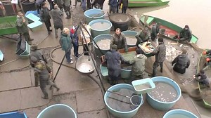 96 reactions · 36 shares | Rybník Olšovec v Jedovnicích tento víkend...