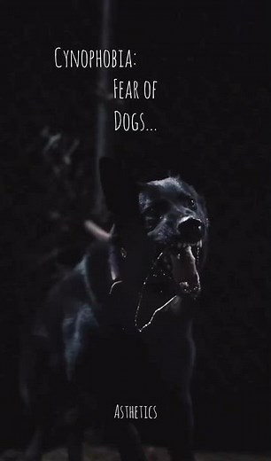 Cynophobia | Cynophobia Meaning | Cynophobia Treatment | Dogs | Fear | Asthetics | Dogs Fear |