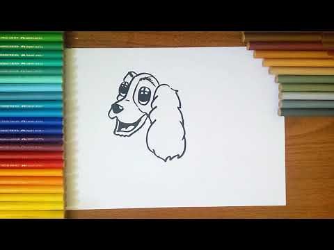 How To Draw a Cocker Spaniel step by step for Kids