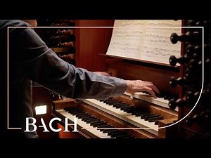 Bach - O Lamm Gottes, unschuldig BWV 618 - Leo van Doeselaar | Netherlands Bach Society