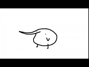 berd expldoes