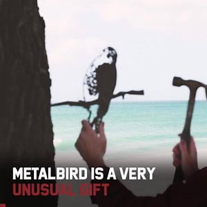 礪 Metalbirds are tangible and changing – They shift with the light, weather with the seasons and fuse with the landscape.  Proudly made in the USA, this amazing piece of art will bring a smile to the faces of many! Each Bird has limited stock so be sure to not miss out. Check out the birds here: www.metalbird.com | Metalbird USA | Facebook