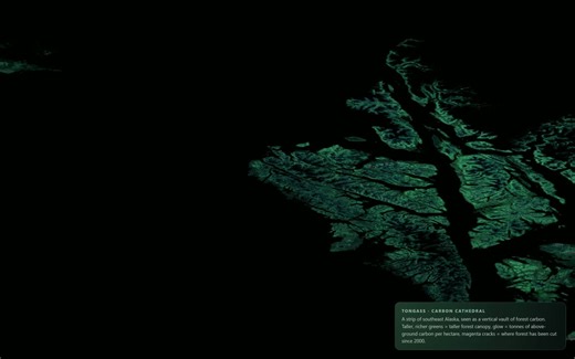 Tongass Forest: A Carbon Vault in Southeast Alaska | Patrick Madigan posted on the topic | LinkedIn