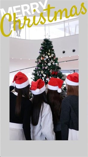みんなでクリスマスツリーを飾ろう！