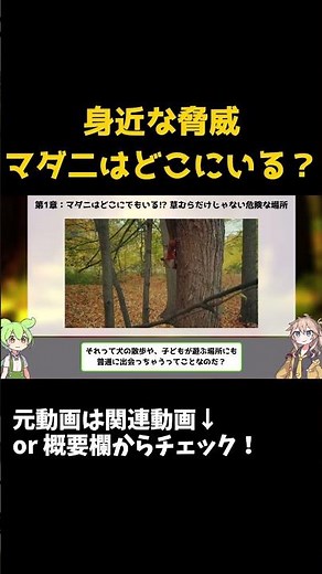 【ずんだもん生物解説#66】マダニは公園にもいる!? 知らずに近づくと危険【ゆっくり雑学×科学で解説】