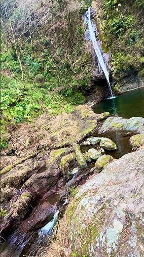 秩父華厳の滝 下空滝 日野沢三滝 #nature #川 #waterfall #川辺 #travel #滝 #river