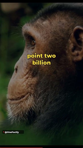 🧬 You Share 60% DNA With Bananas! Mind-Blowing Facts