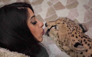 Meet the Kuwaitis who live with their pet cheetahs