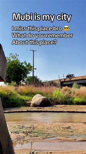 Memories of Mubi: Share Your Favorite Moments